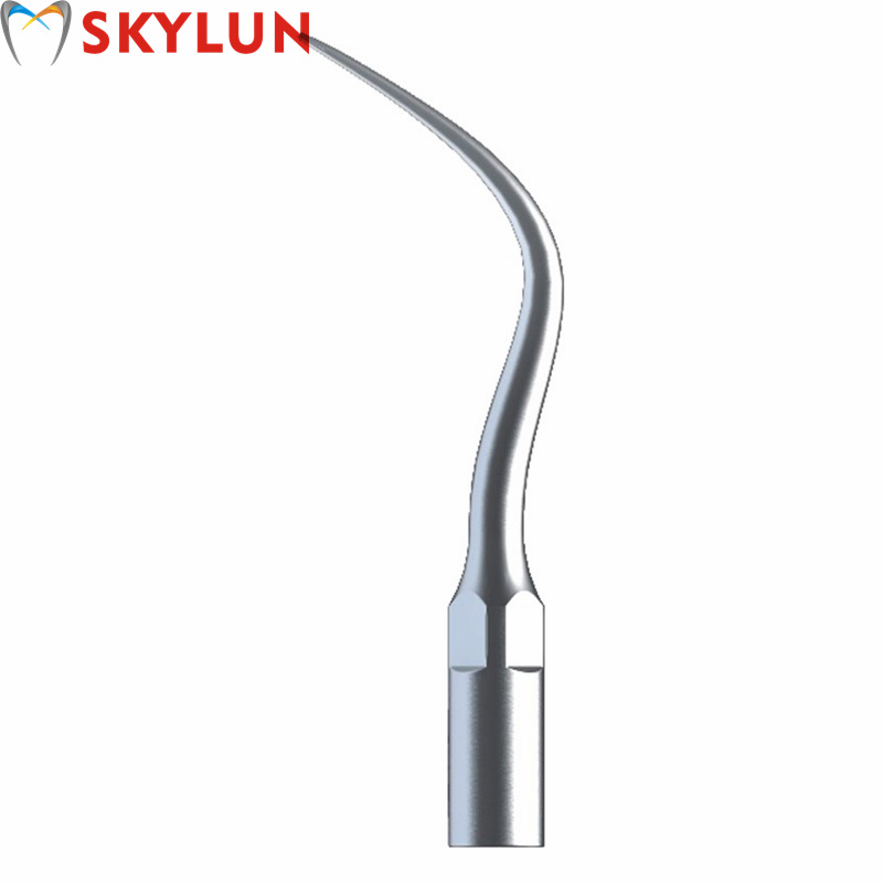 Teeth Whitening Free - 5 adet P4 diş ultrasonik skaler