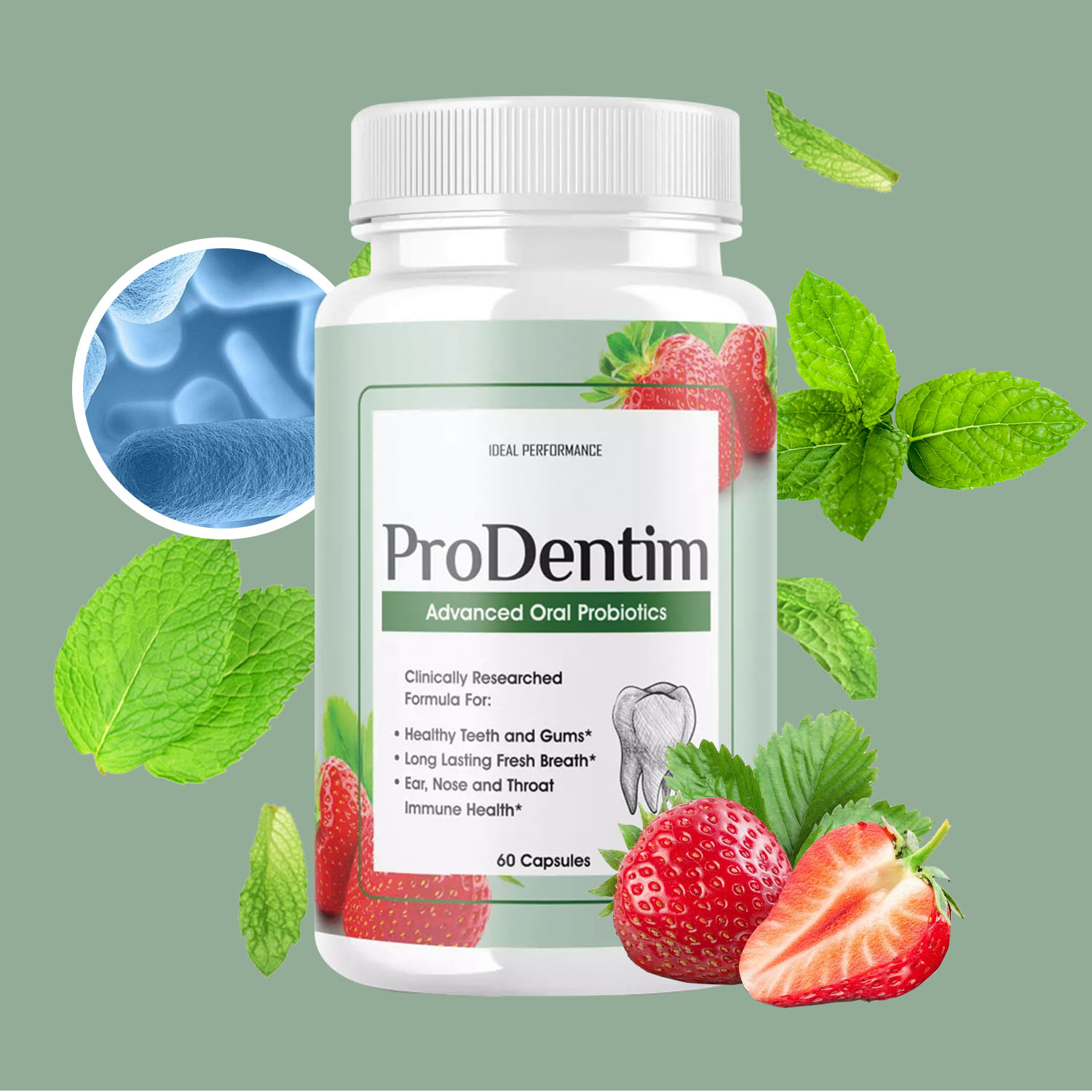 Gelişmiş Ağız Probiyotikleri - - Teeth Whitening Enzymes incelemesi ve fiyatı