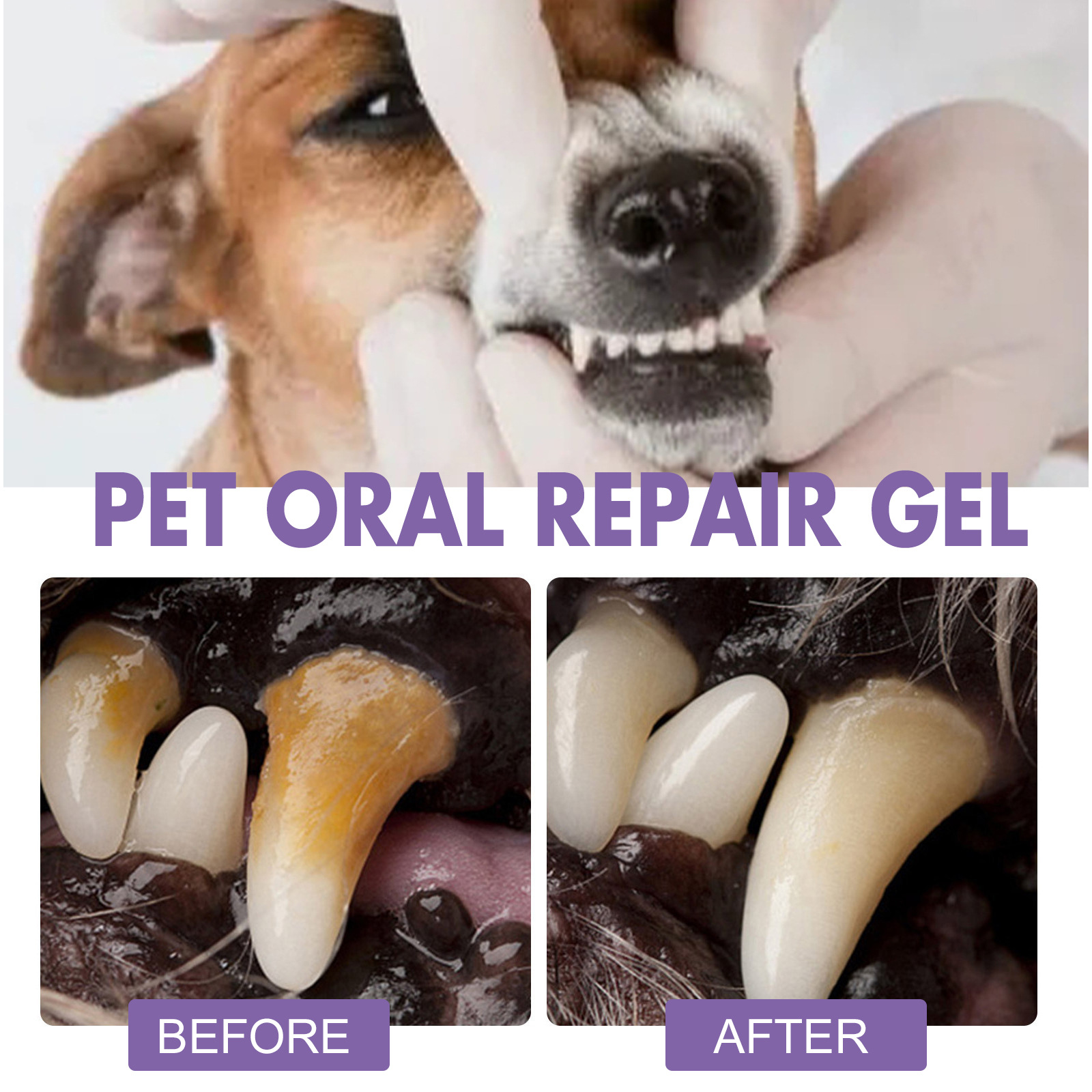 Pet Oral Onarım Jeli Yavru Tar - Teeth Whitening Hismile incelemesi ve fiyatı
