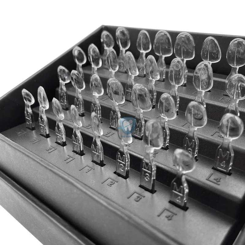 32 adet/takım Diş Kaplama Kalı - Teeth Whitening Moulds incelemesi ve fiyatı